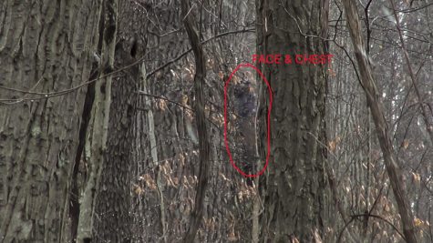 Bigfoot Encounters in Ohio: Quest for the Grassman